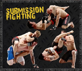 Submission Fighting