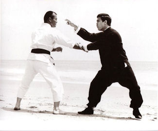 Academy Of Jeet Kune Do Fighting Technology