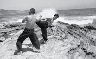Academy Of Jeet Kune Do Fighting Technology