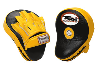 Focus Mitts