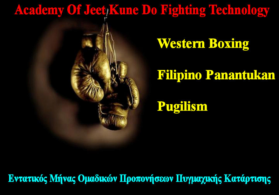 Academy Of Jeet Kune Do Fighting Technology