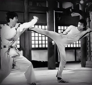Bruce Lee & Ji Han Jae