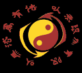 Jun Fan Jeet Kune Do
