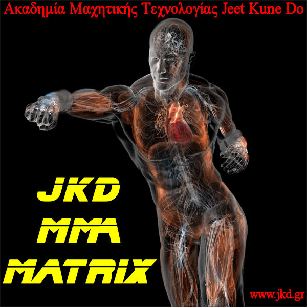 JKD MMA Matrix