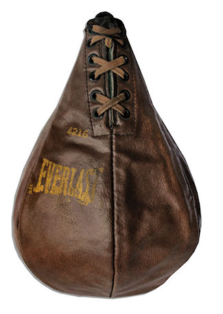 Sijo Bruce Lee's Speed Bag